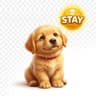 Stay